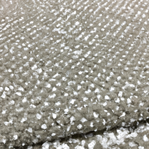 Anti-slip fabric wool carpet before painting needling padding China high-grade supplier